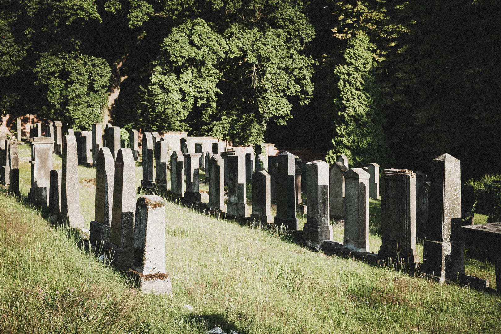 Jüdischer Friedhof Kassel-Bettenhausen